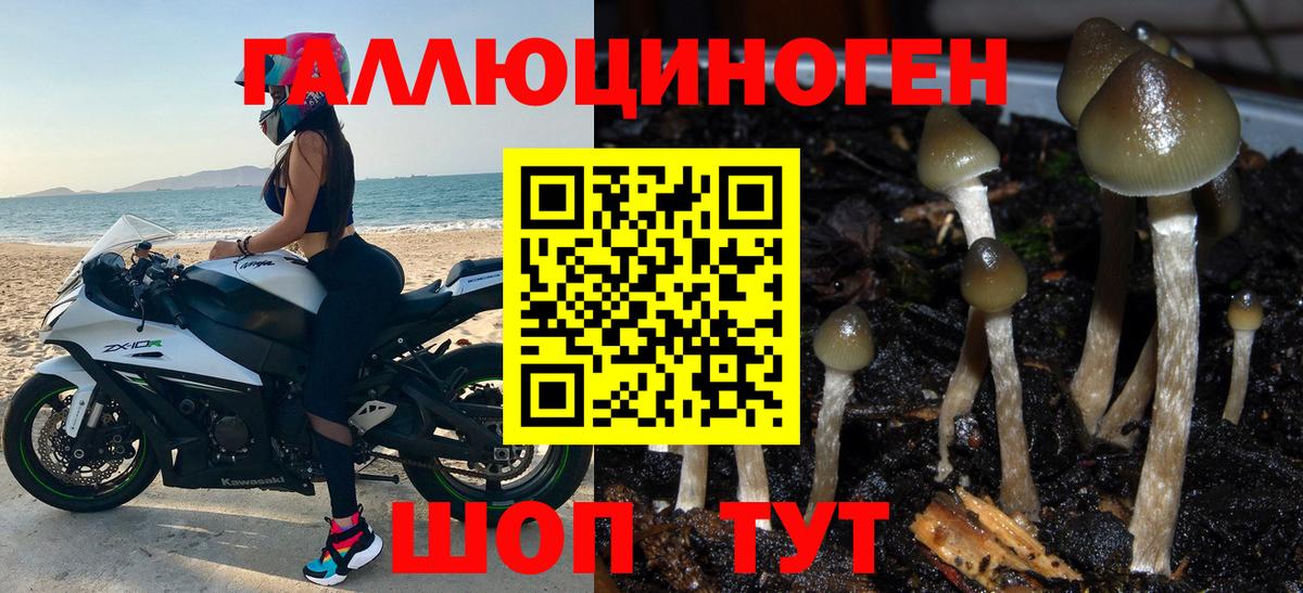 Комсомольск-на-Амуре  Галлюциногенные грибы GOLDEN TEACHER  Вход с VPN  как найти   Галлюциногенные грибы MAGIC MUSHROOMS 