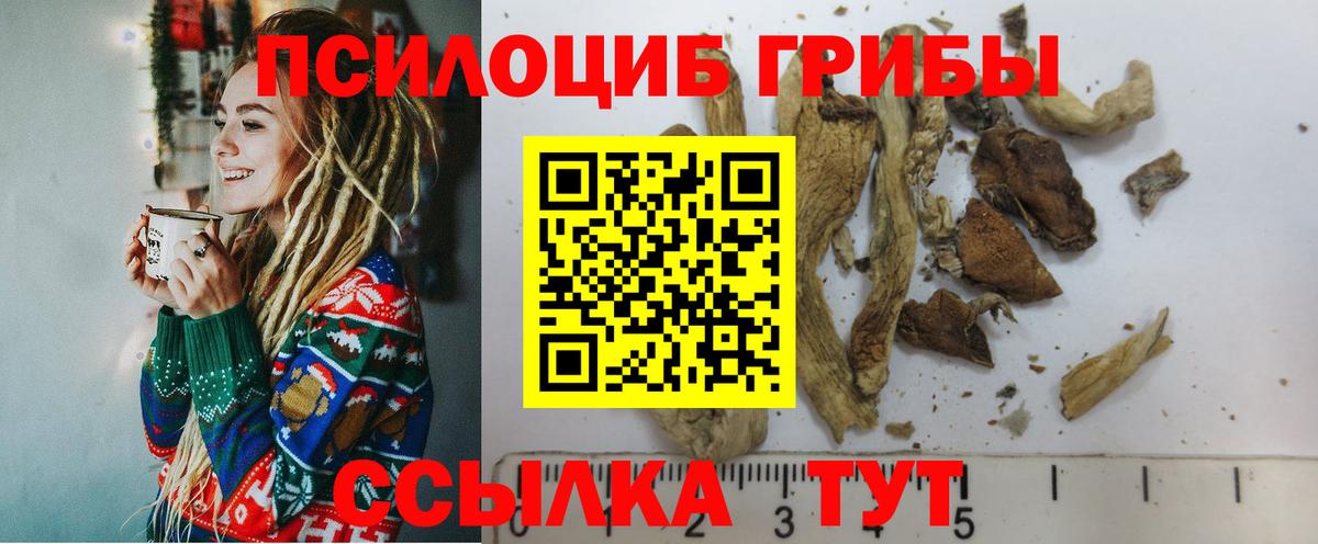 Псилоцибиновые грибы GOLDEN TEACHER Комсомольск-на-Амуре